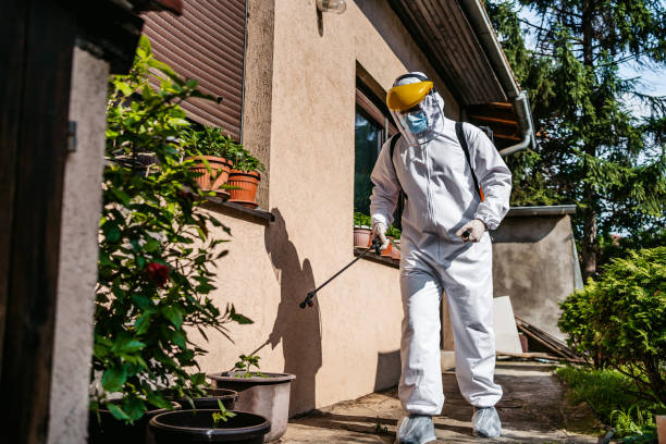 Best Termite Control Services  in Wiggins, MS